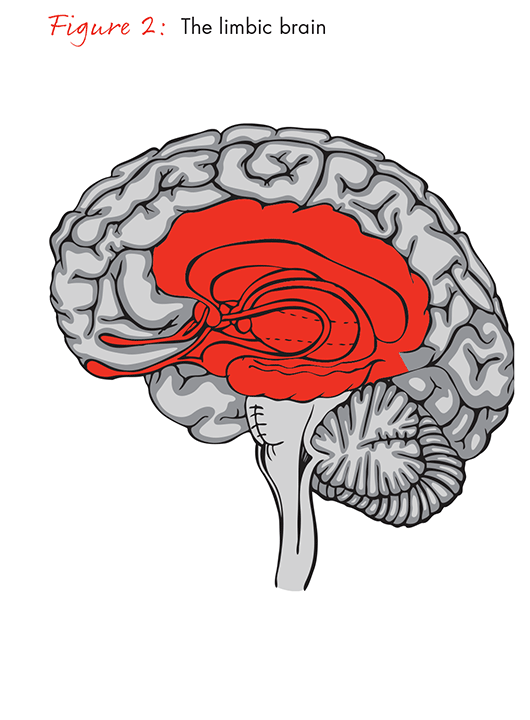 the-science-of-centeredness-fig02_embed